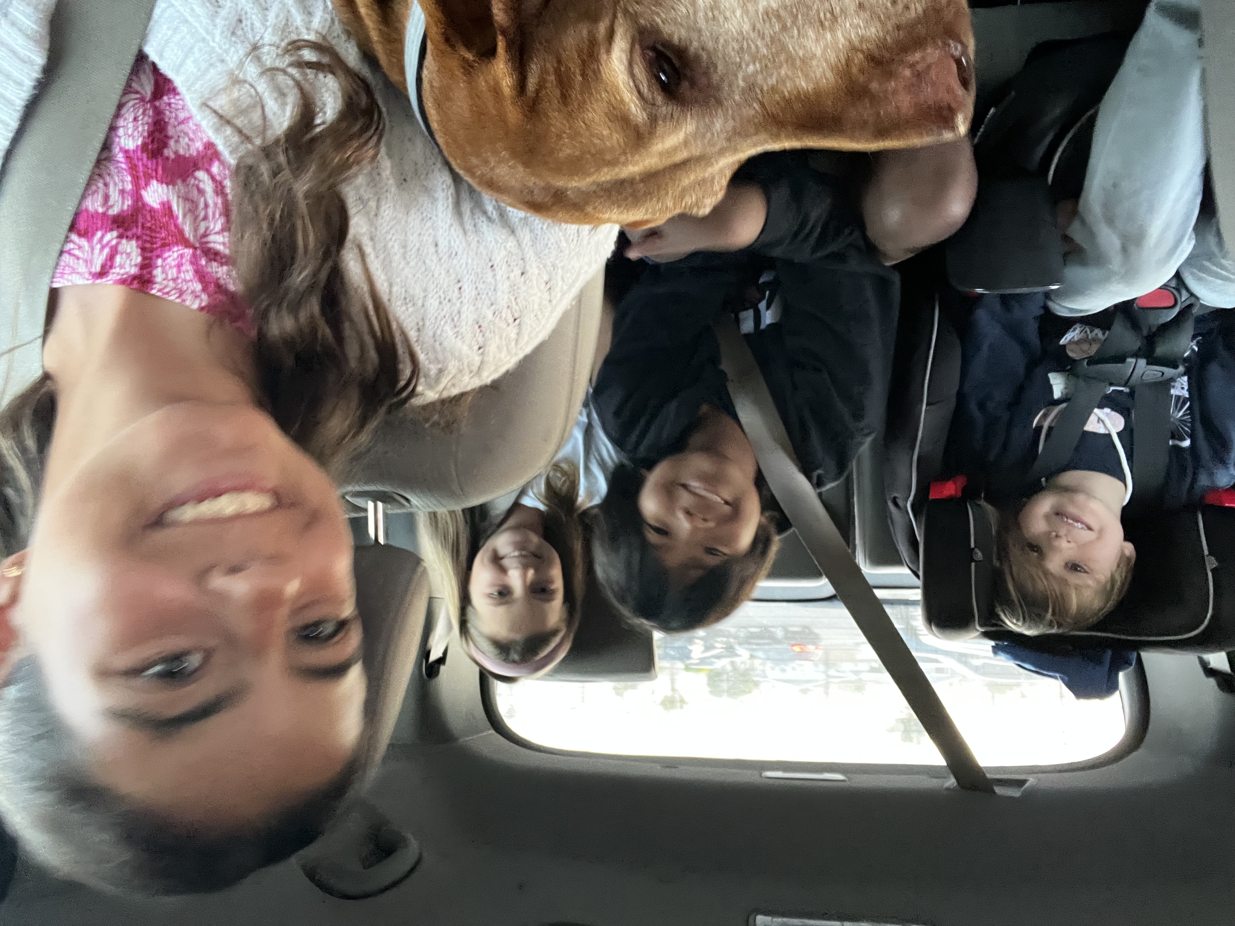 Img: adult, female, person, woman, cushion, home decor, people, belt, cup, dog