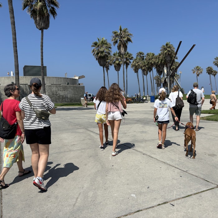 Img: person, walking, shorts, people, summer, handbag, tree, palm tree, path, shoe