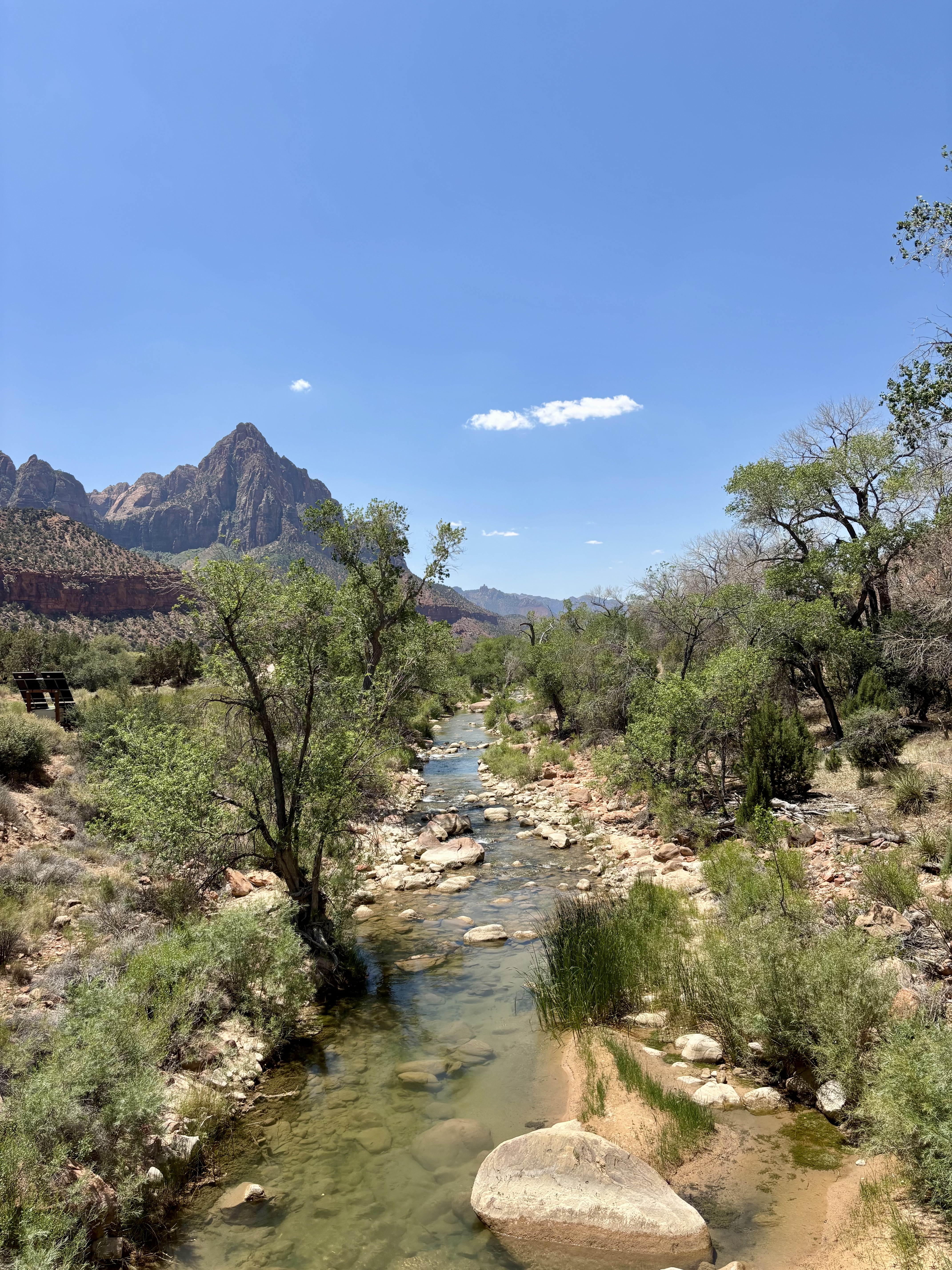 Img: nature, outdoors, wilderness, creek, stream, water, rock, plant, vegetation, scenery