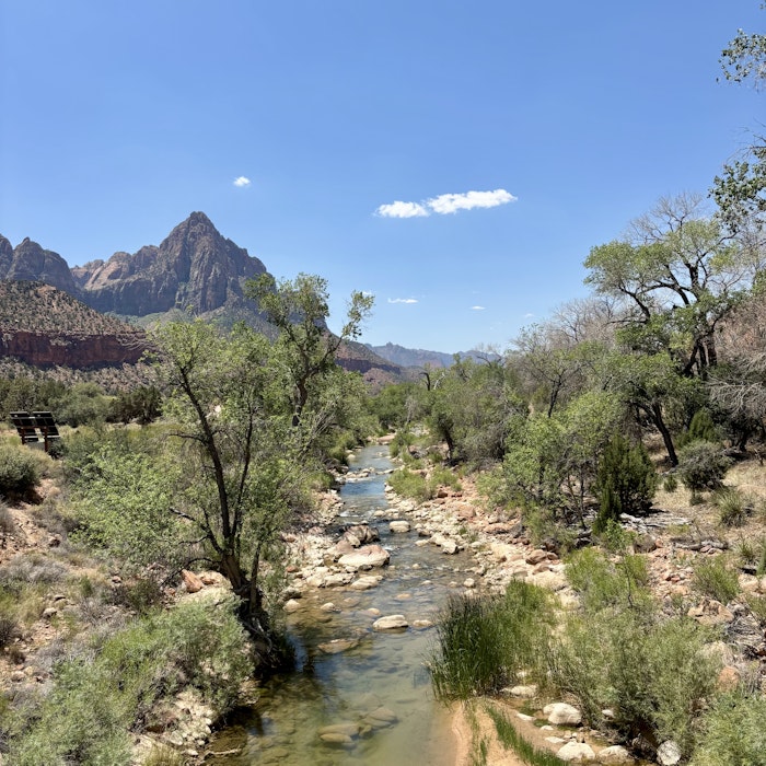 Img: nature, outdoors, wilderness, creek, stream, water, rock, plant, vegetation, scenery