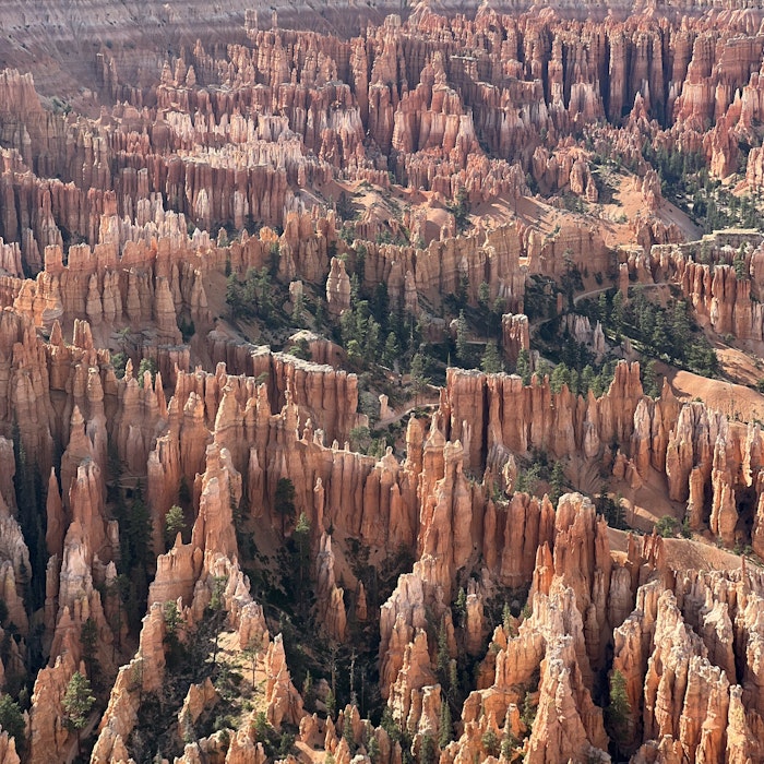 Img: canyon, mountain, nature, outdoors, valley, rock, vegetation, scenery, tree, woodland