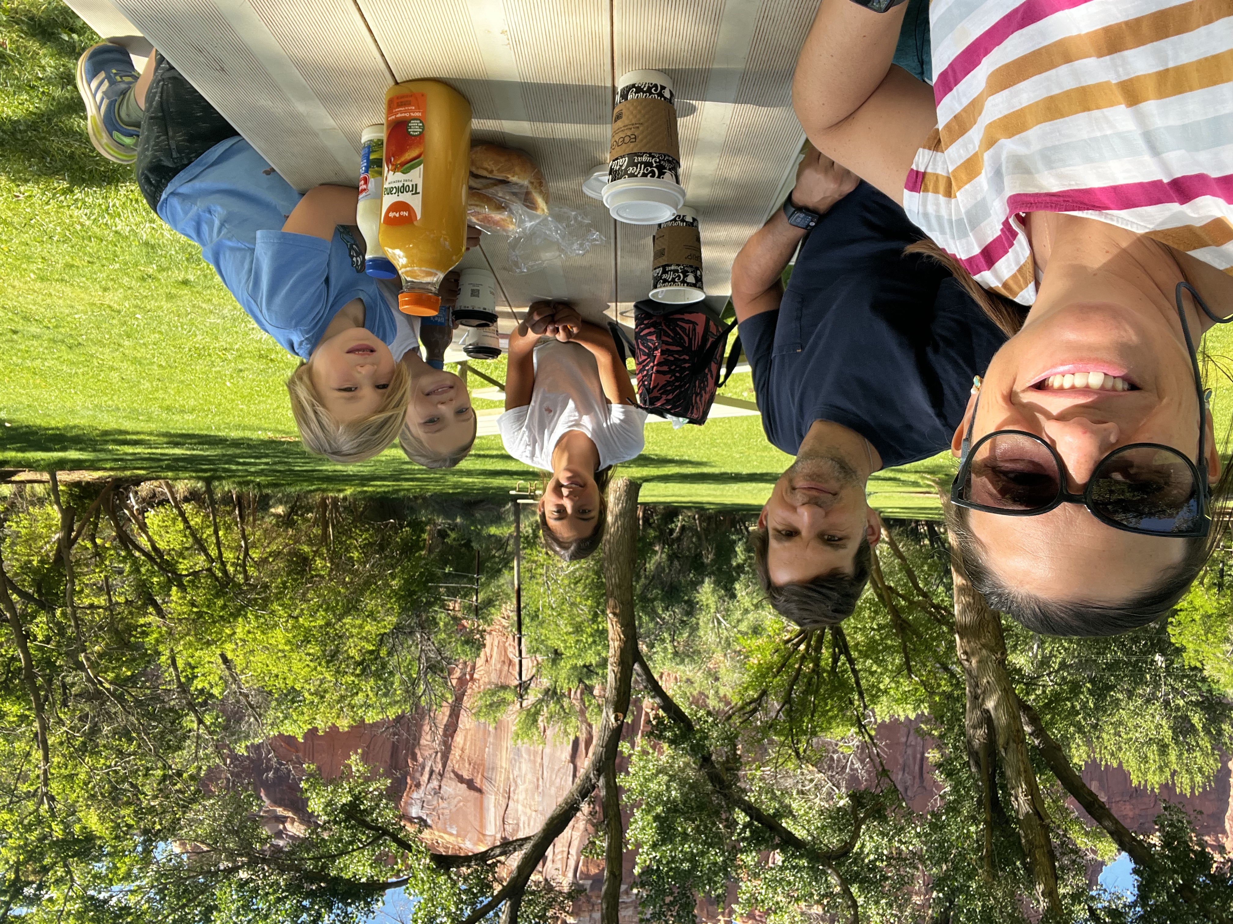 Img: grass, park, sunglasses, portrait, grove, tree, vegetation, table, shoe, cup