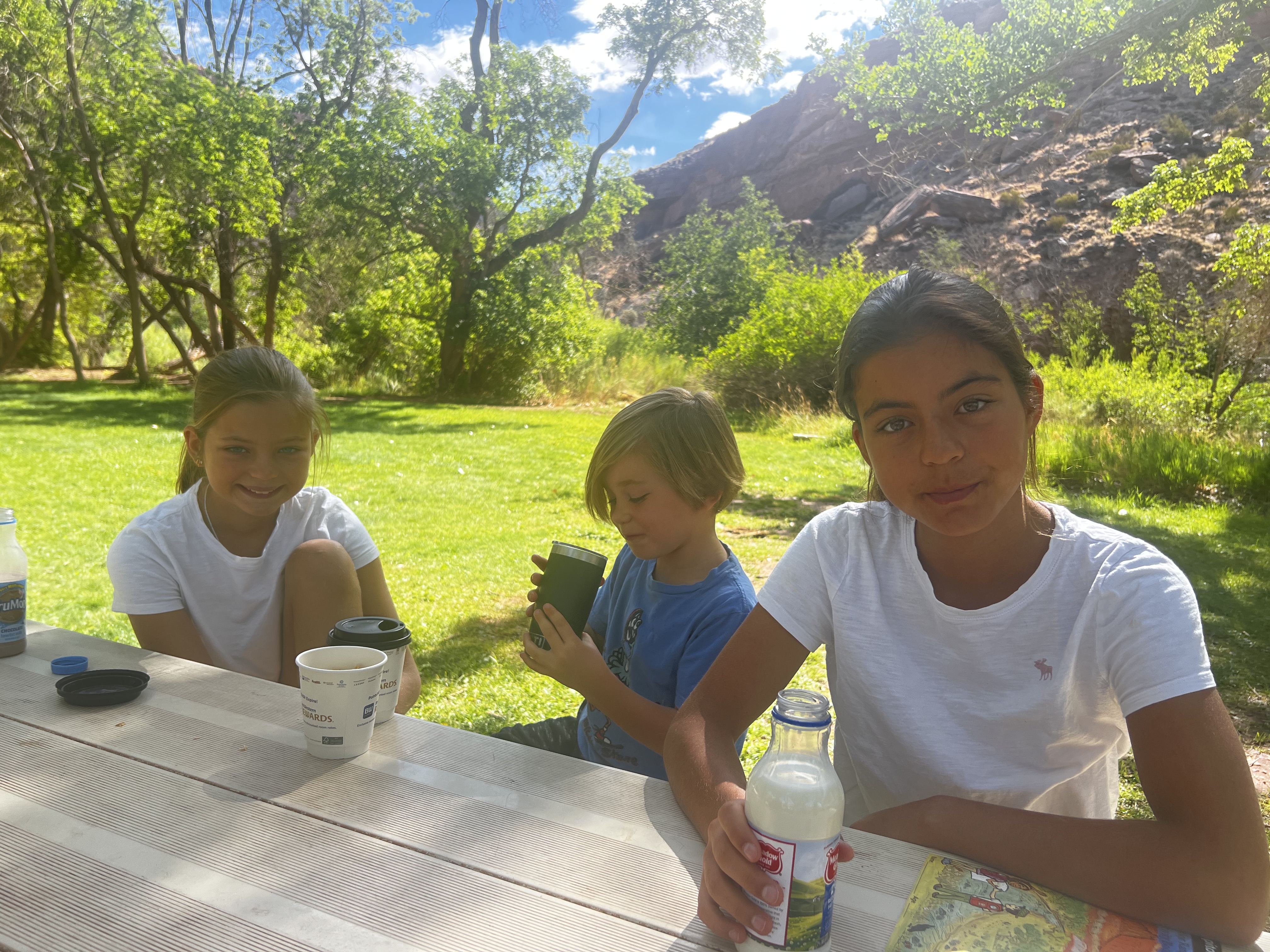 Img: grass, park, vegetation, people, person, cup, dining table, tree, child, girl