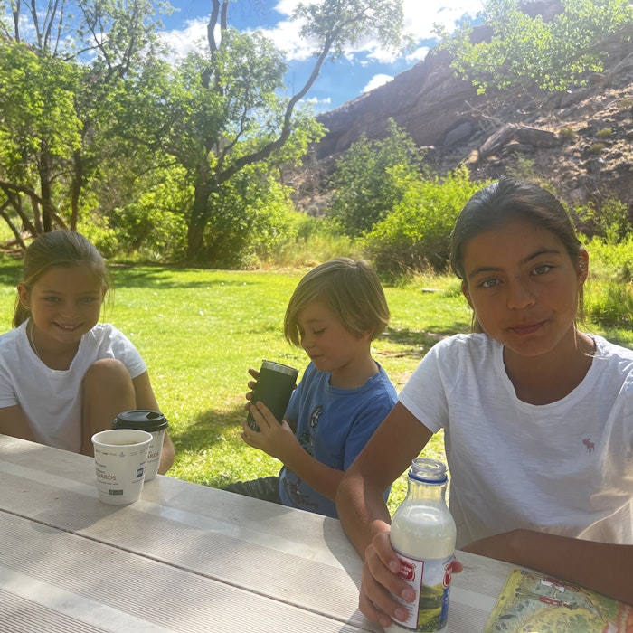 Img: grass, park, vegetation, people, person, cup, dining table, tree, child, girl