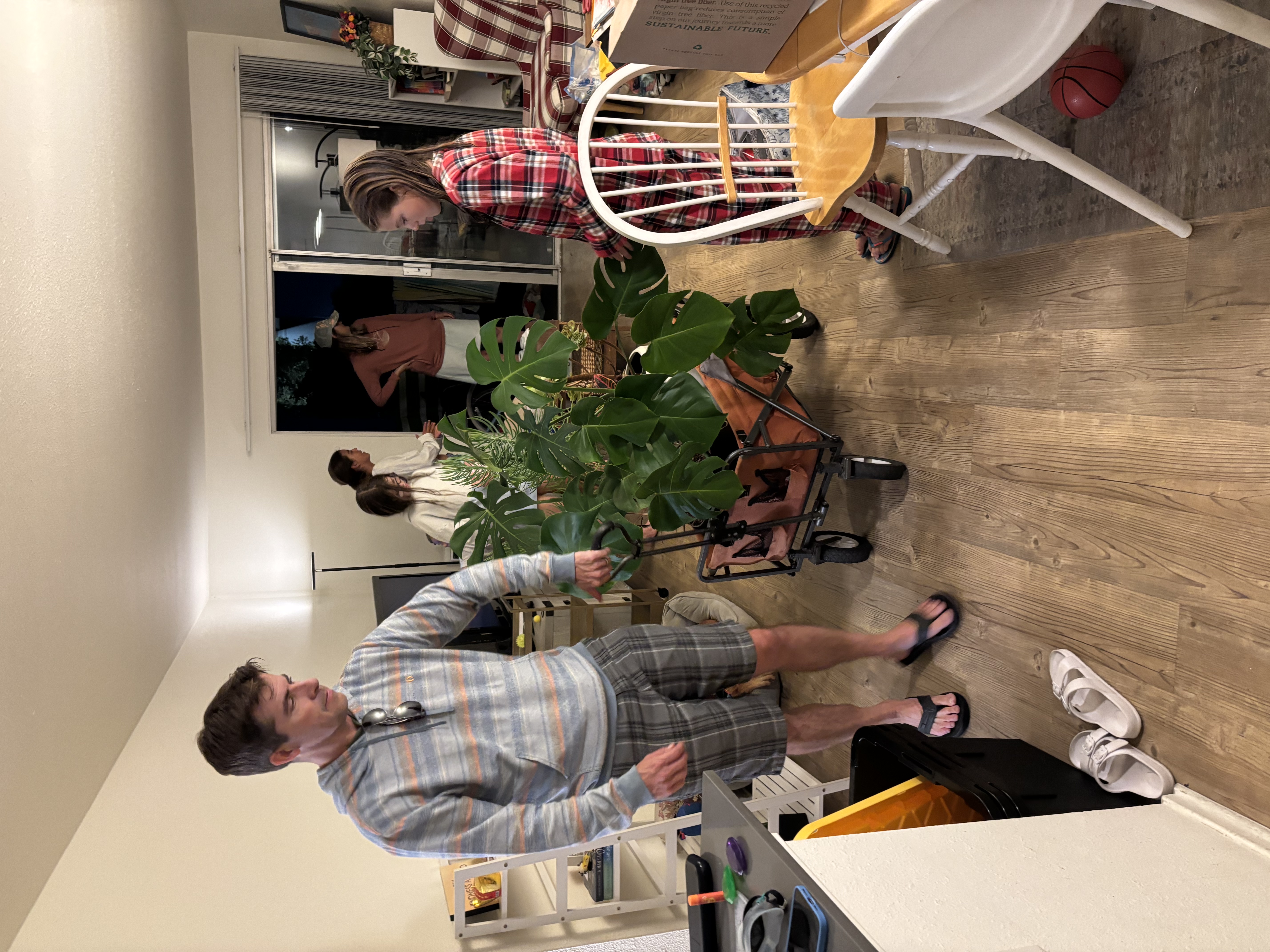 Img: potted plant, shoe, person, basketball (ball), glasses, chair, furniture, pants, planter, table