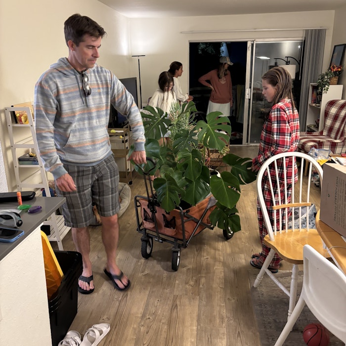 Img: potted plant, shoe, person, basketball (ball), glasses, chair, furniture, pants, planter, table