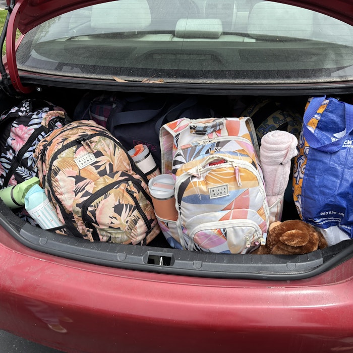 Img: car, transportation, vehicle, car trunk, bag, handbag, glove, toy, person, baby