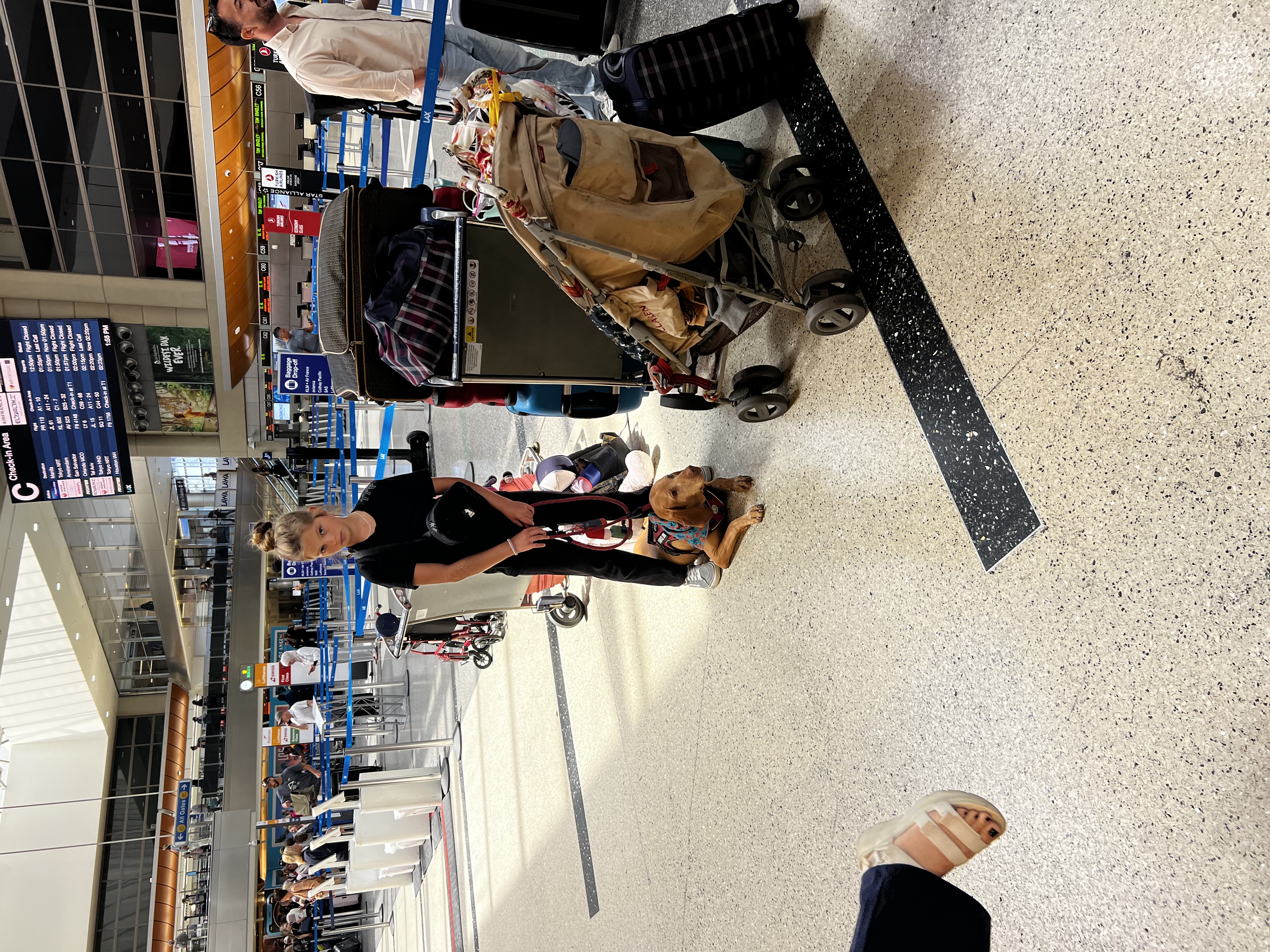 Img: boy, male, person, teen, handbag, shoe, baby, adult, man, dog