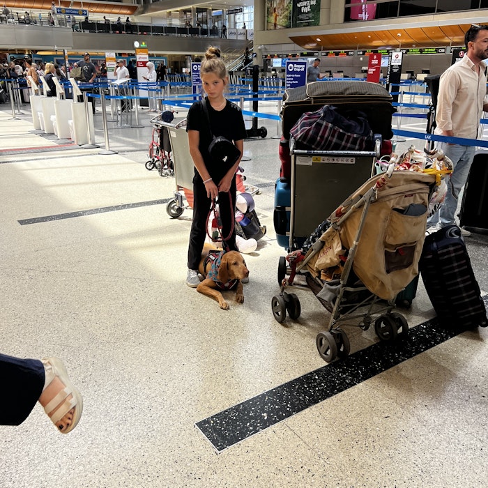 Img: boy, male, person, teen, handbag, shoe, baby, adult, man, dog