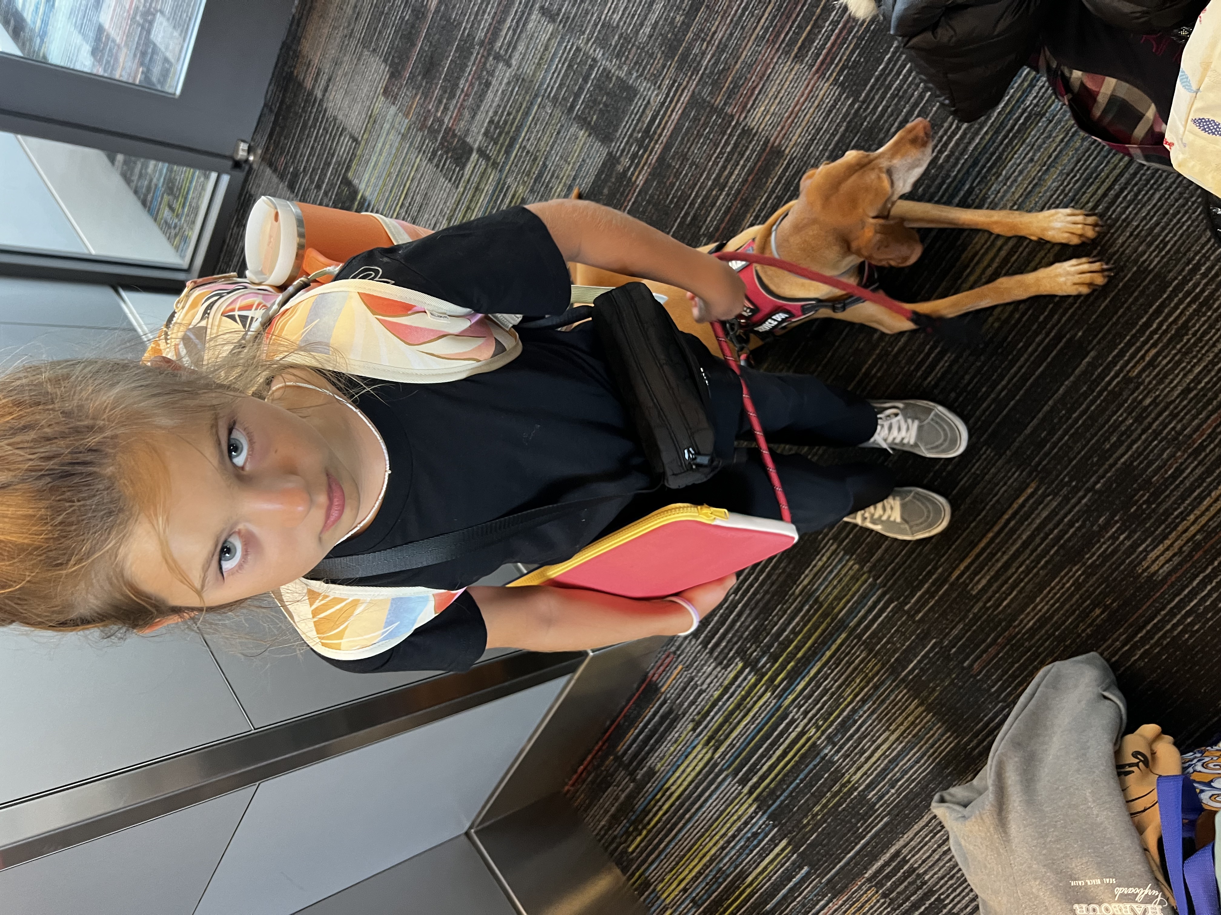 Img: child, female, girl, person, footwear, shoe, cup, bag, handbag, dog