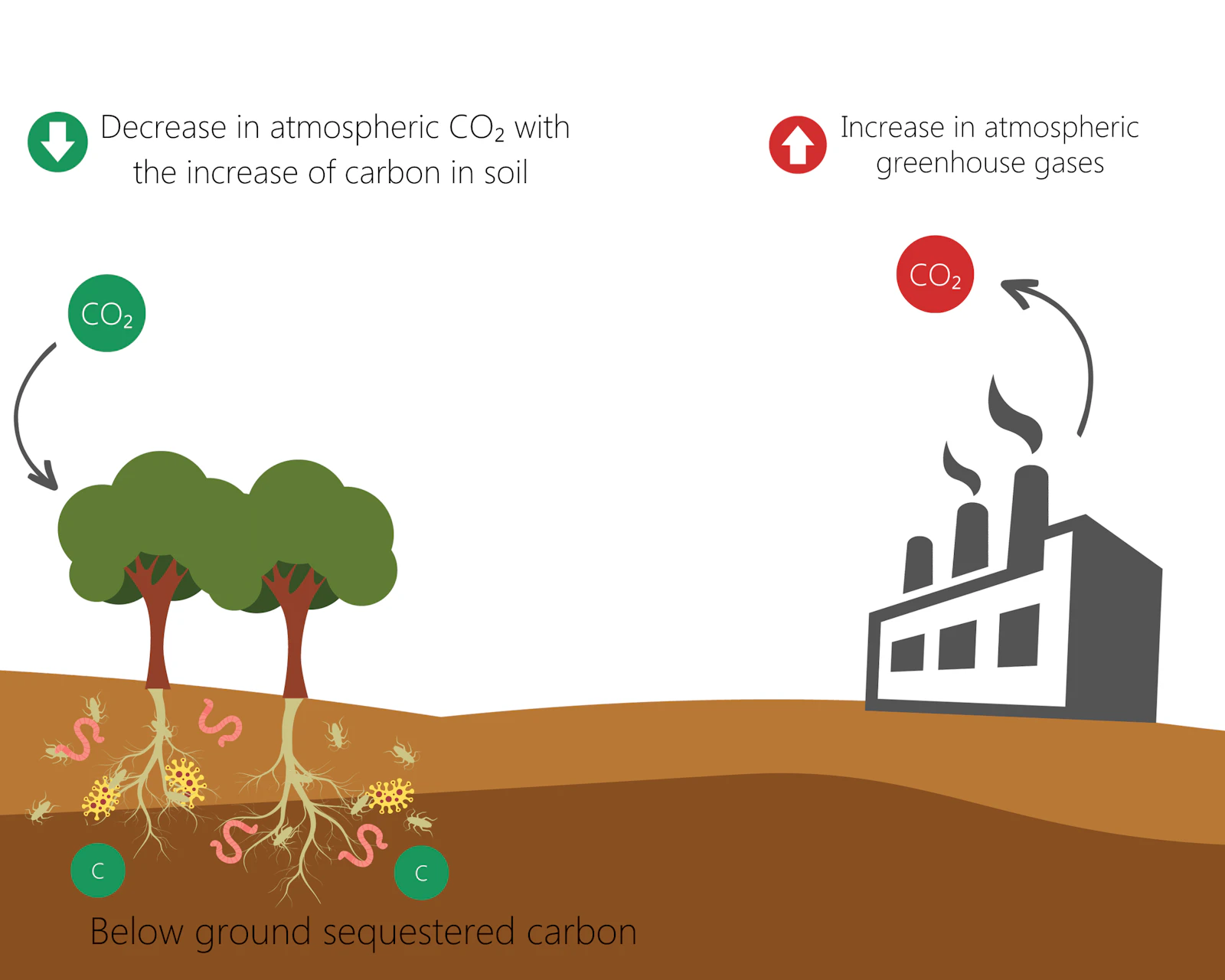 Hidex 600 OX Oxidizer is a versatile sample preparation tool for studying carbon sequestration with carbon-14 isotope.