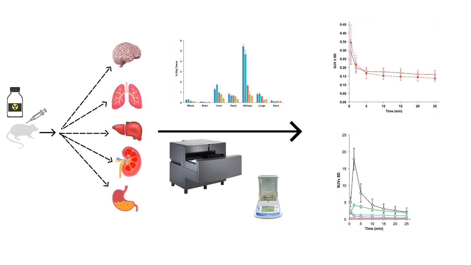 A schematic workflow of preclinical studies using murine model for biodistribution and pharmacokinetic studies of pipeline drugs