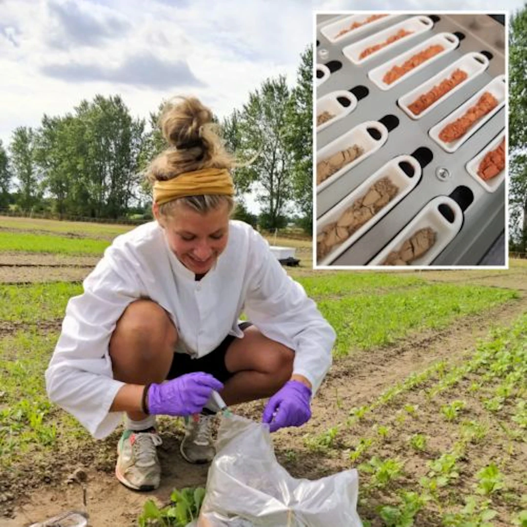 Researcher and PhD student Tine Engedal preparing samples on a crop field for her studies on carbon sequestration.