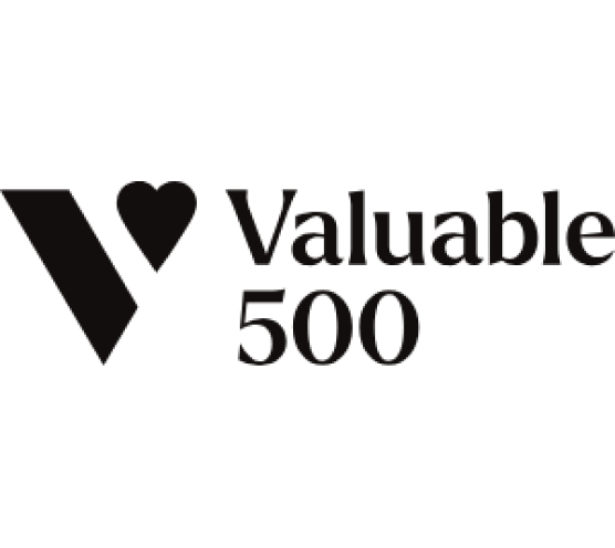 valuable 500 logo