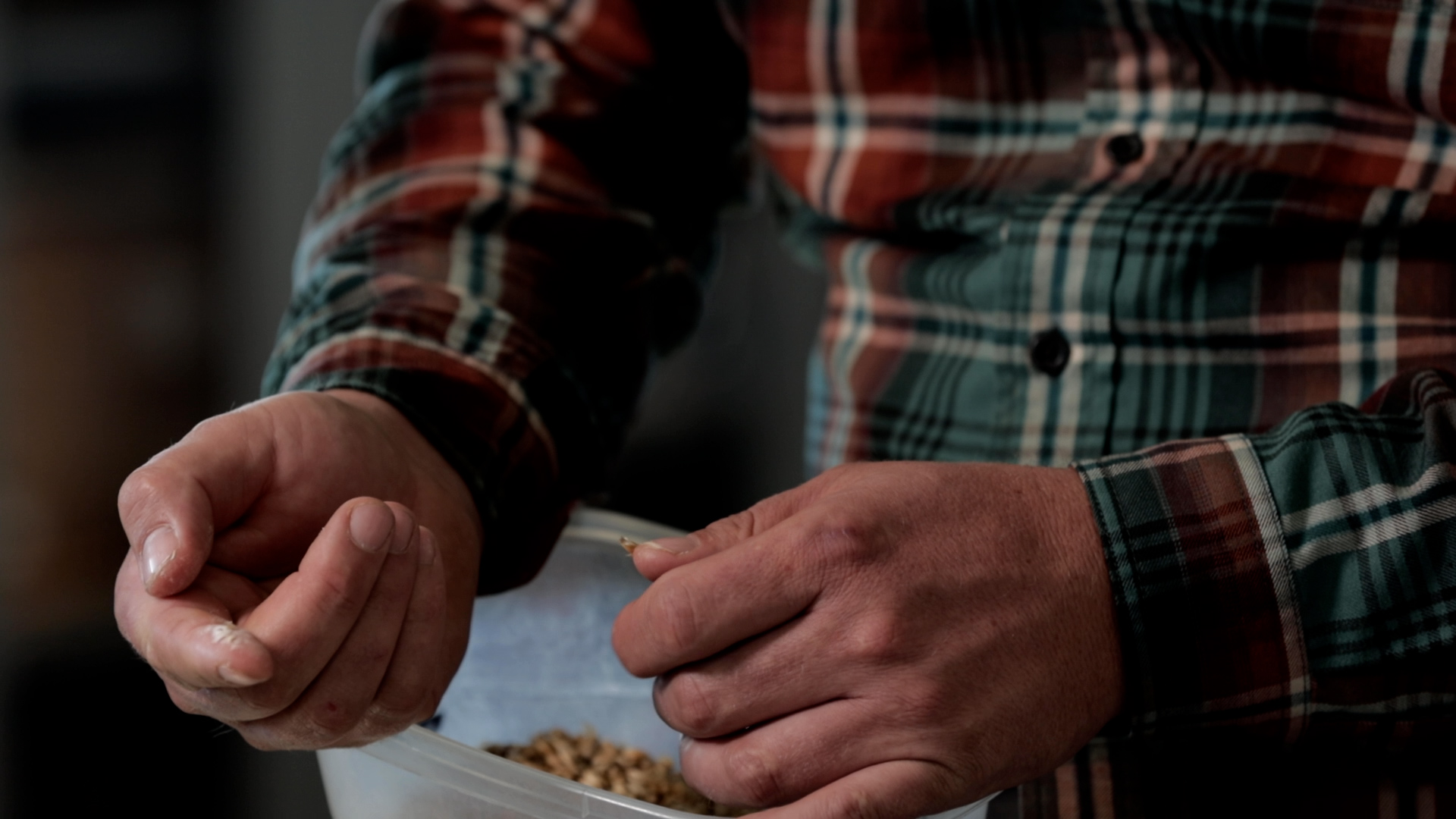Malting | Craft Malt for Craft Distillers
