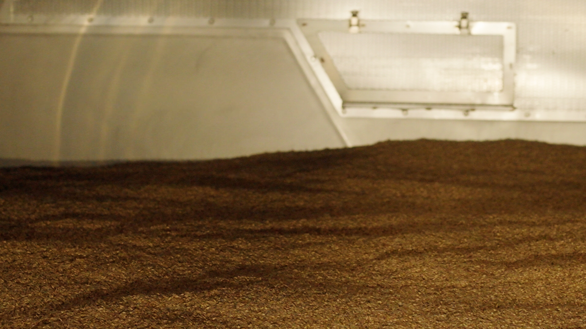 Barley Processing and Behavior | Craft Malt for Craft Distillers