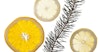 Embracing the Seasonality of Craft Gin Image