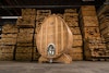 Those Foeders Are Full of Spirit Image