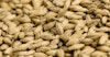 Decoding the Numbers on Your Grain Image