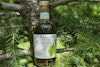 Crafting Spirits from the Pines Image