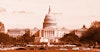 Craft Distillers Can Have Their Say in D.C. Image