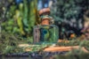 A Kenyan Distillery Makes Gin from Just One Tree Image