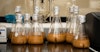 Combining Yeasts for More Complex Spirits Image