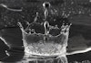High-Quality Proofing Water Is Essential to Great Spirits Image