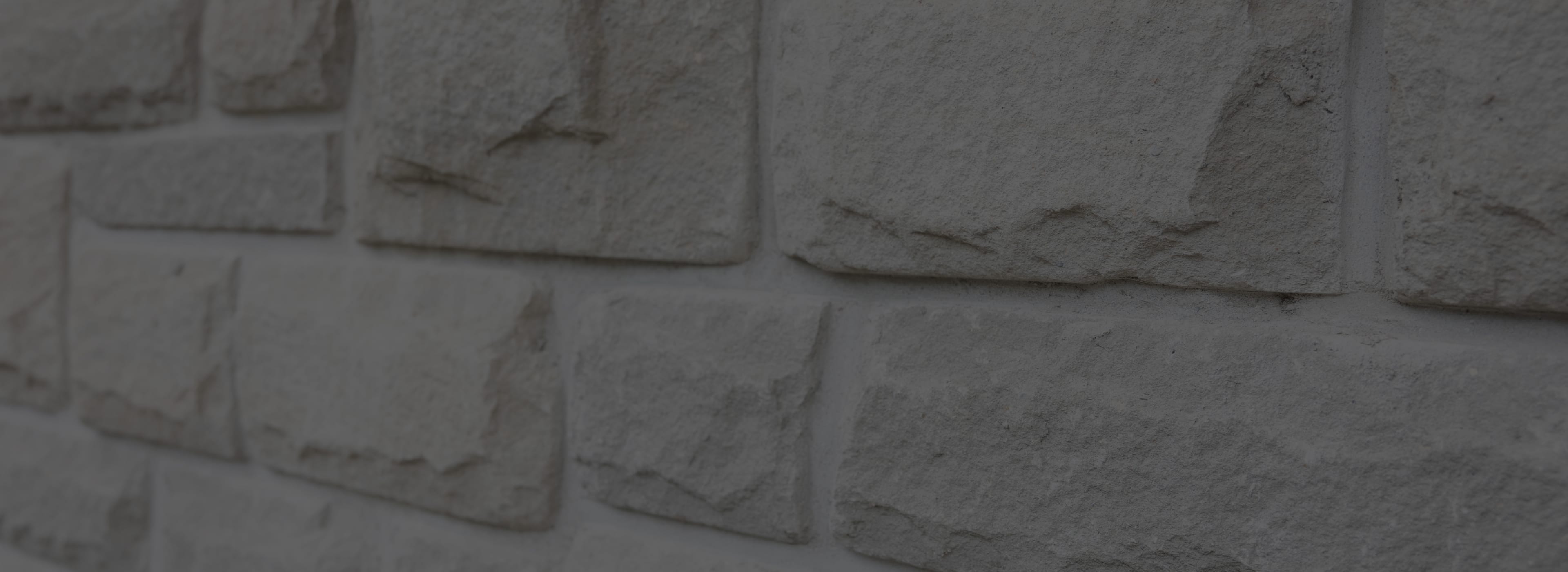 Dr. Matthew Brace MSc, MD, FRCS(C) Guelph Facial Plastics