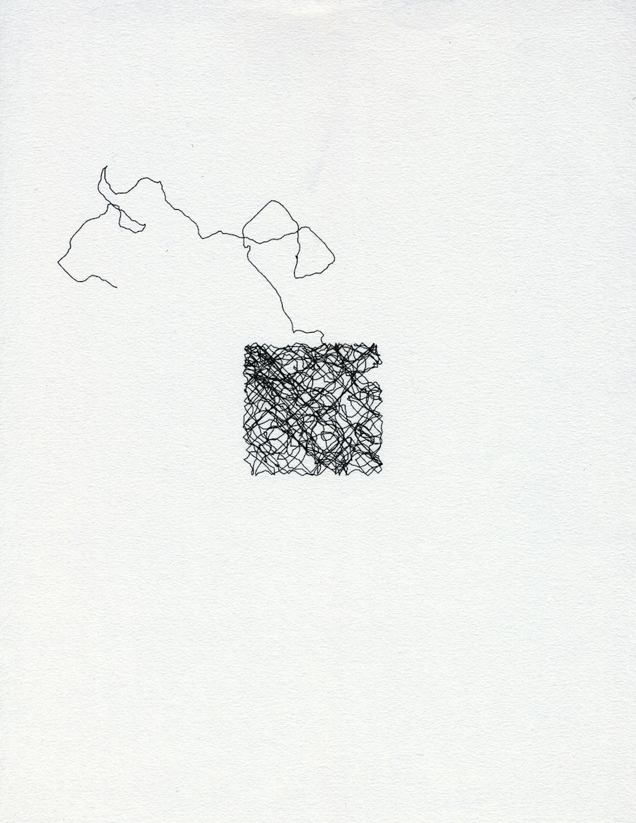 A drawing. The traces of the movements from a fly like agent as it escapes from a square.