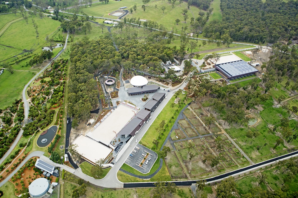 Image for Bird's-eye