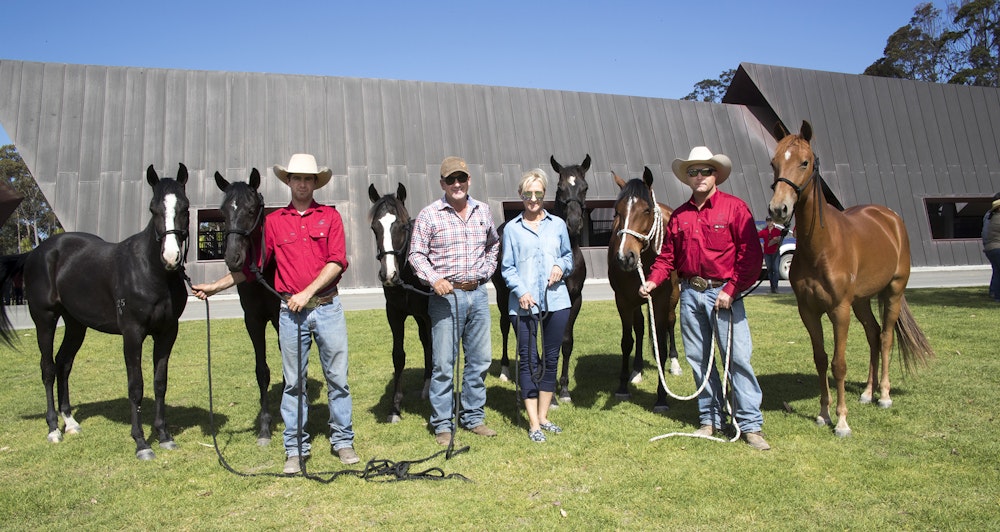 Image for Willinga Park Annual Sale