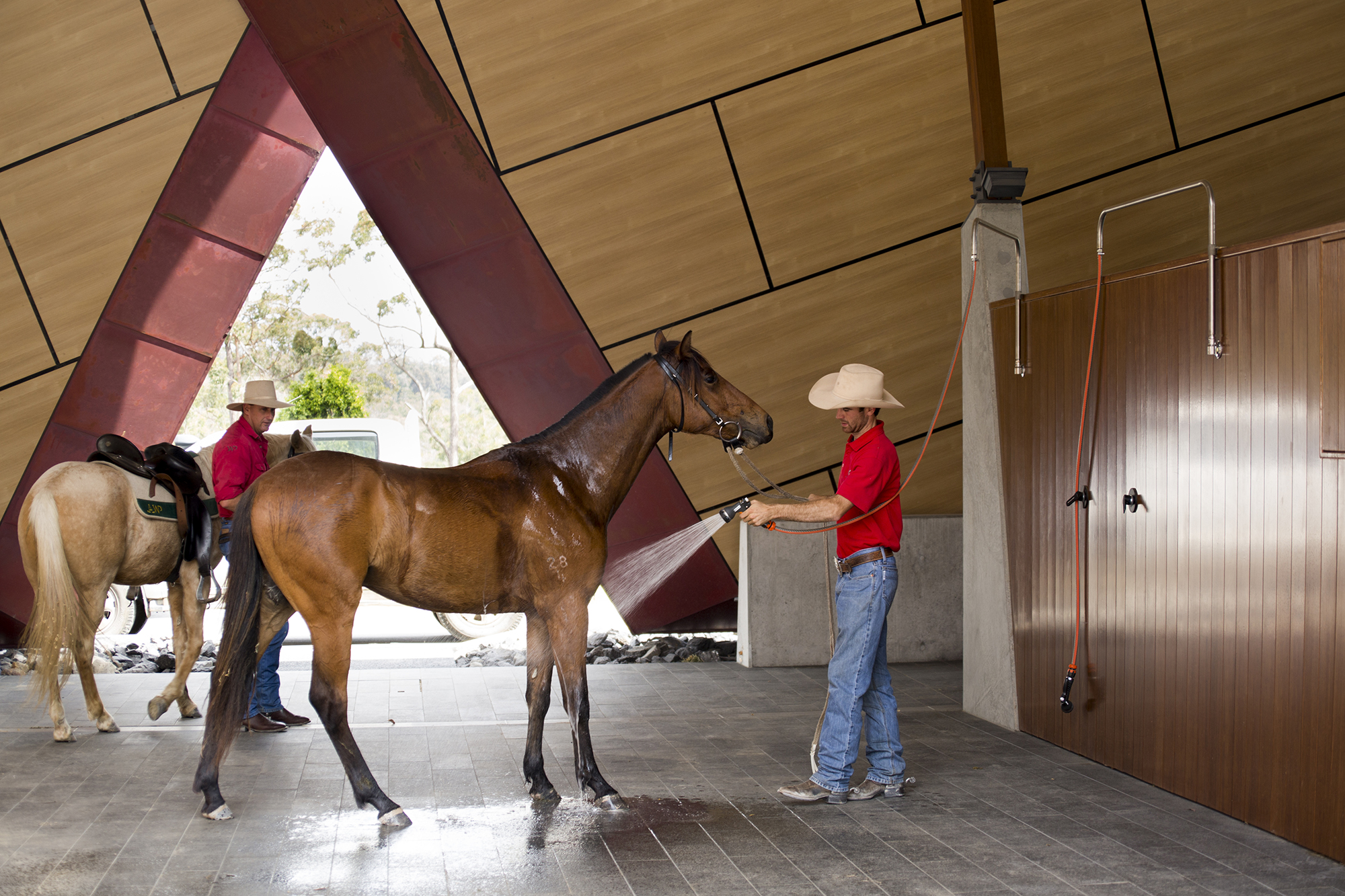 A New Home For Our Horses