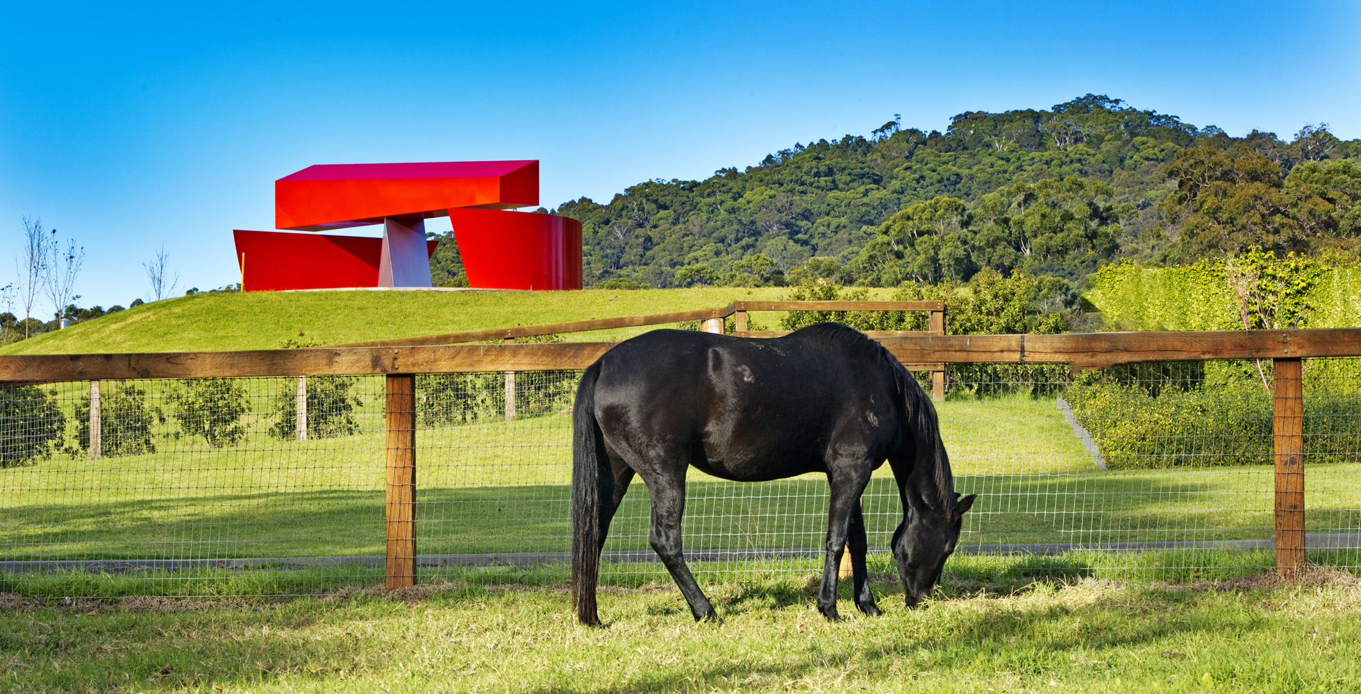 A Spectacular New Addition to Willinga Park