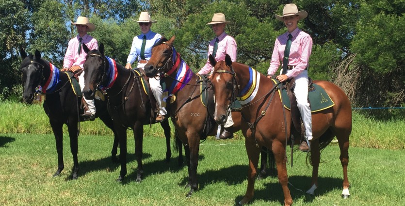 Willinga Park's Best Show Yet!