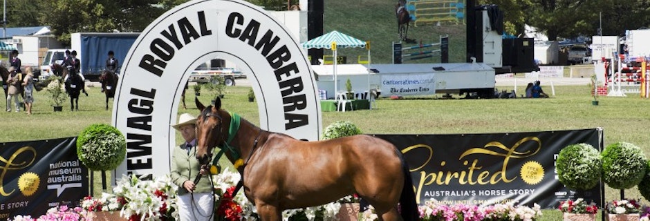 Image for Success at the Royal Canberra Show