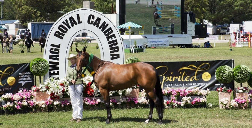 Image for CanberraShow