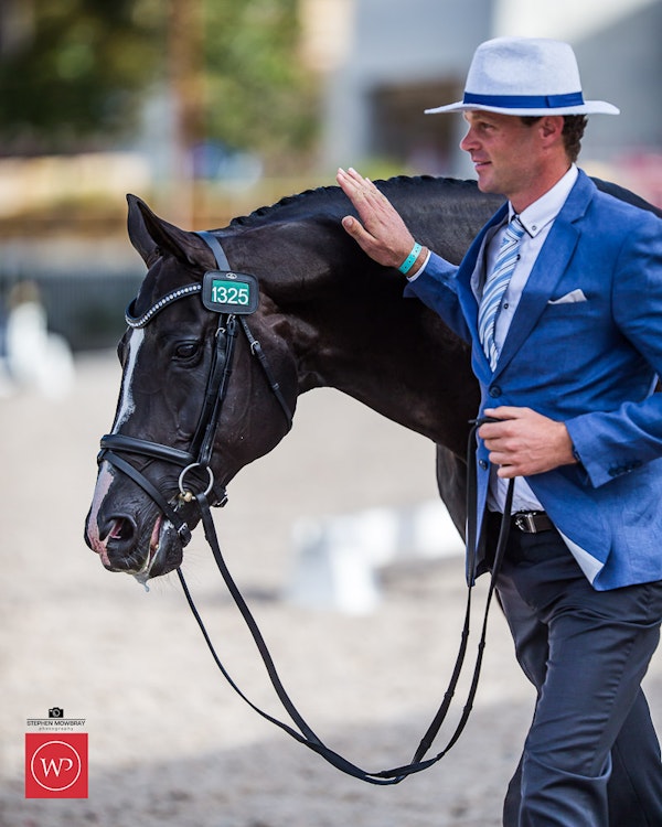 Image for Boutique Equines Fitness Inspection