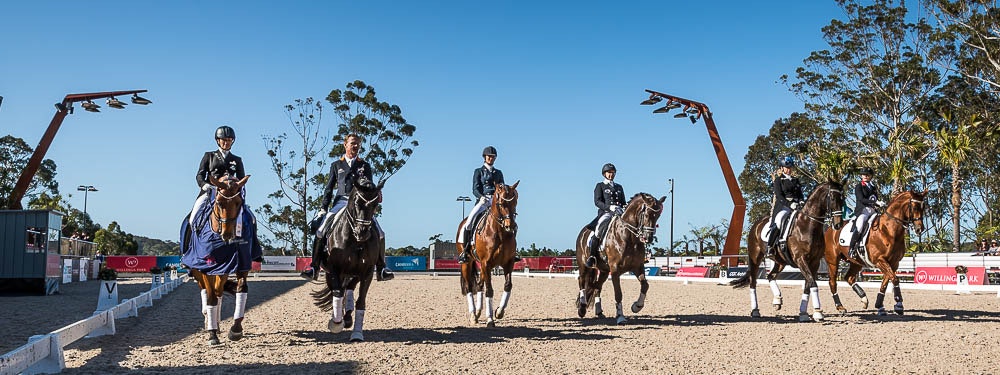 Image for dressage