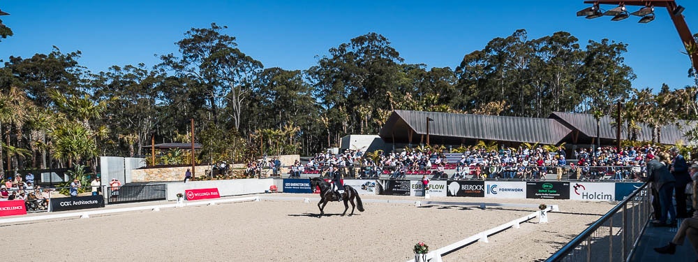 Image for dressage