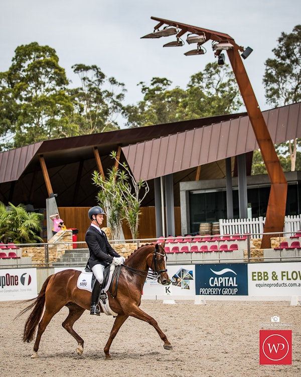Image for Boutique Equines Advanced 5.2