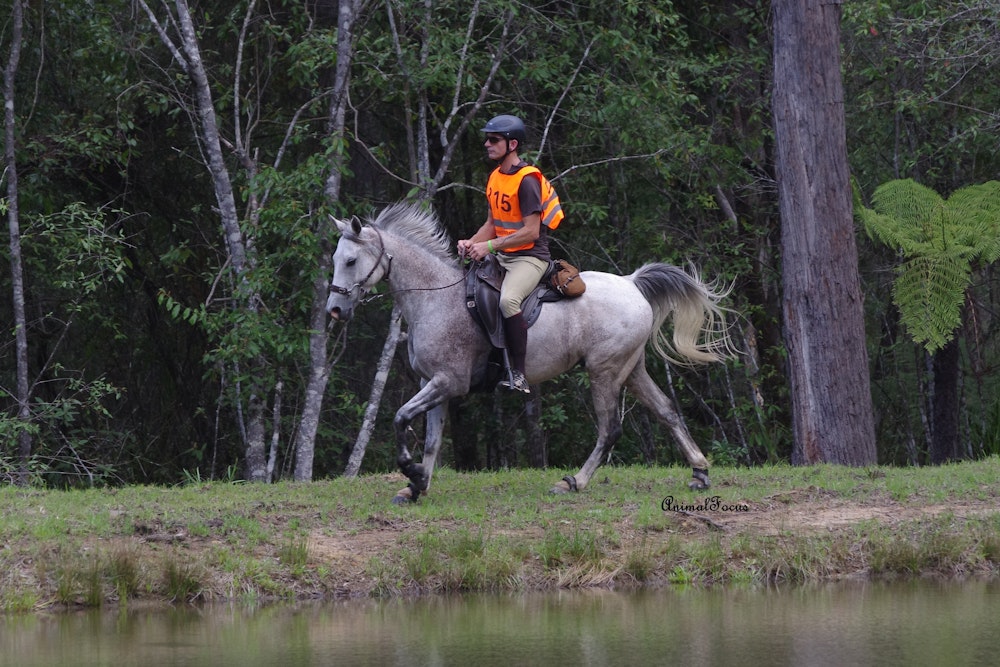 Image for Endurance at Willinga