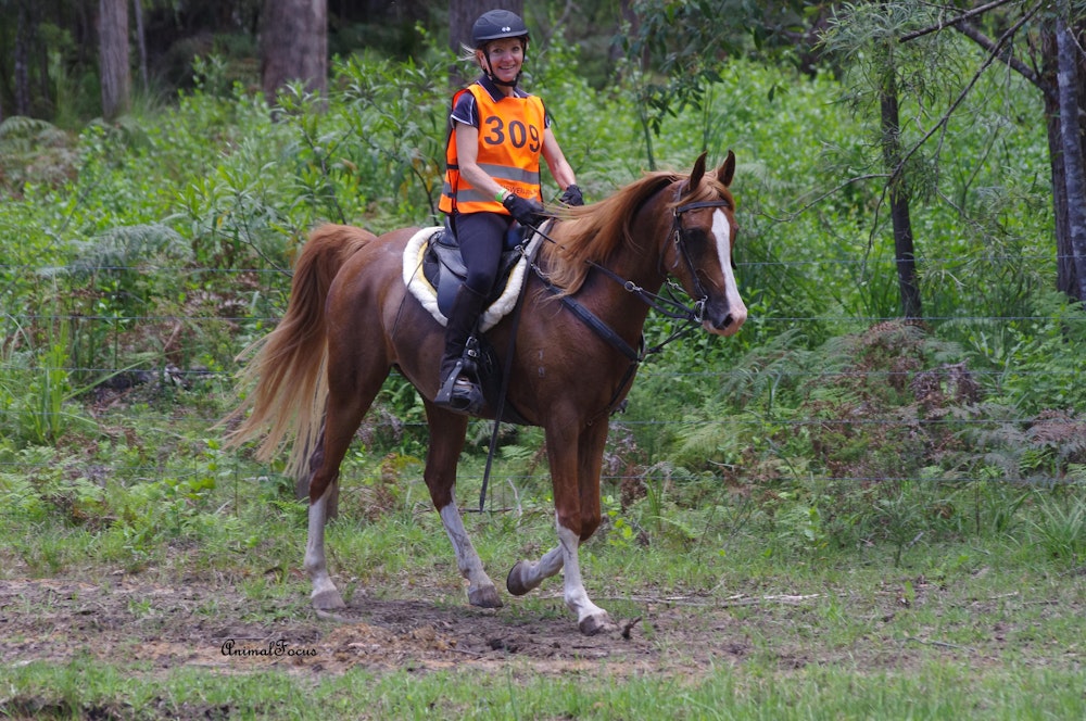 Image for Endurance at Willinga