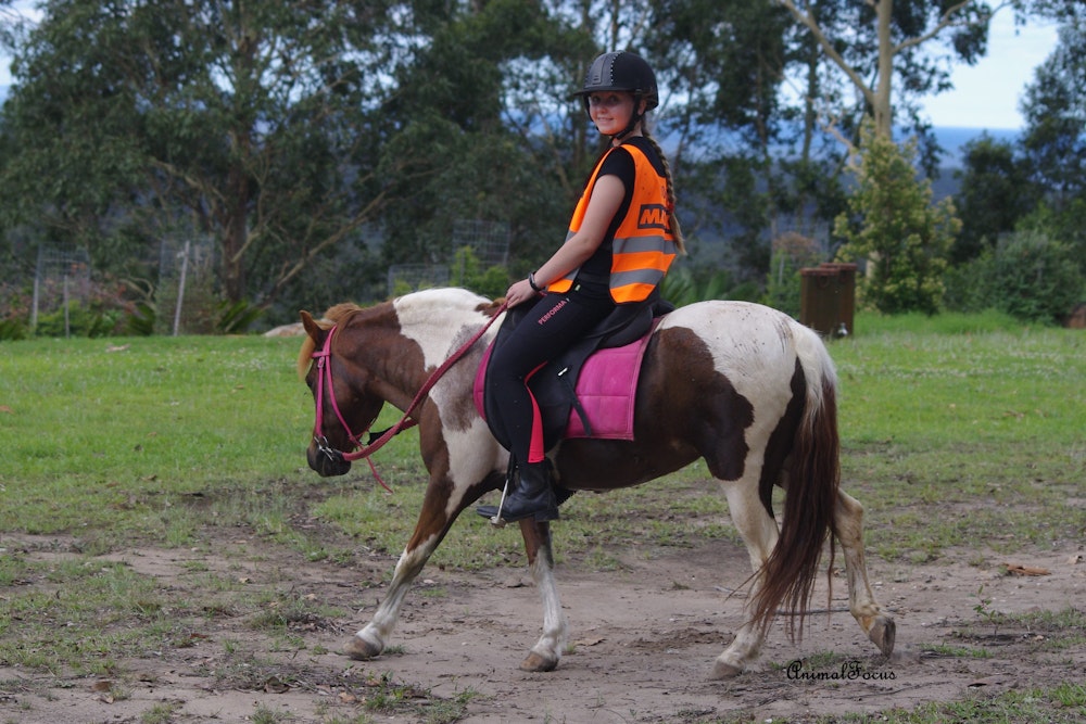 Image for Endurance at Willinga