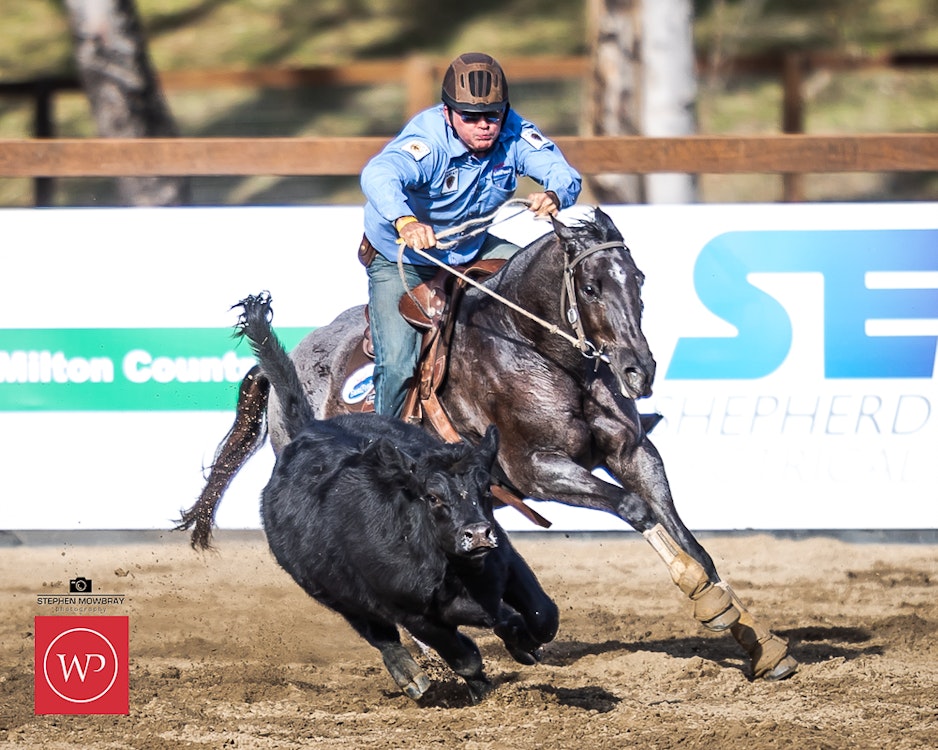 Image for Campdraft Round 1 Results and Photos