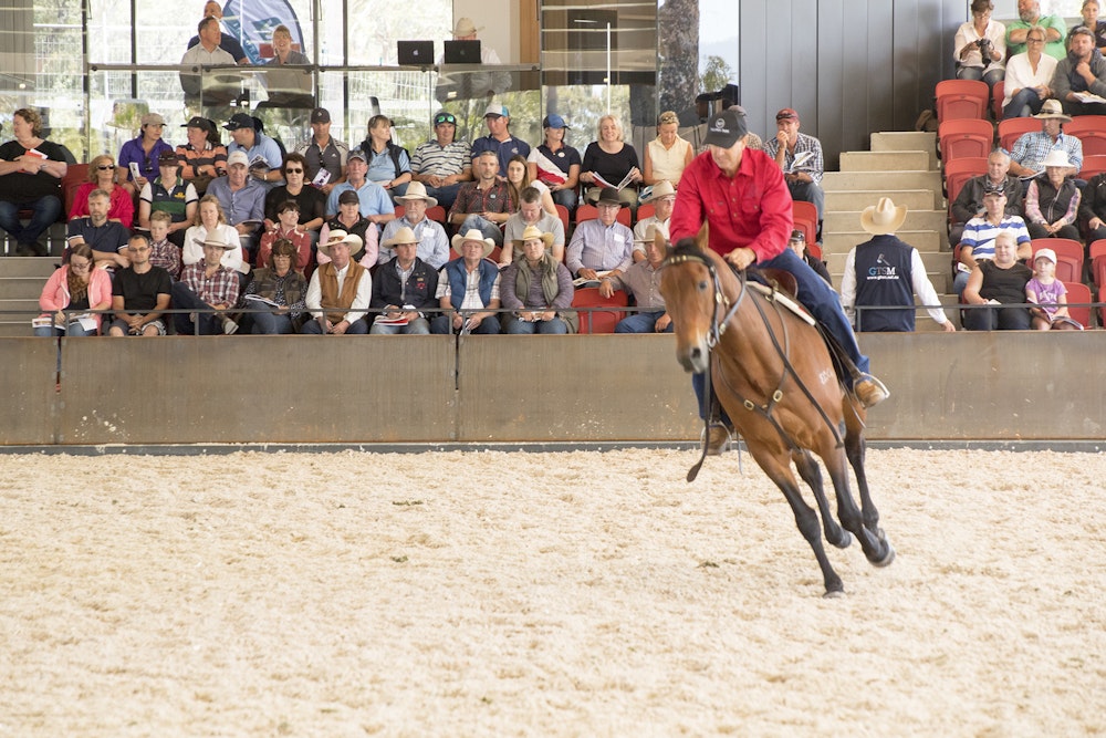 Image for Willinga Park Annual Sale