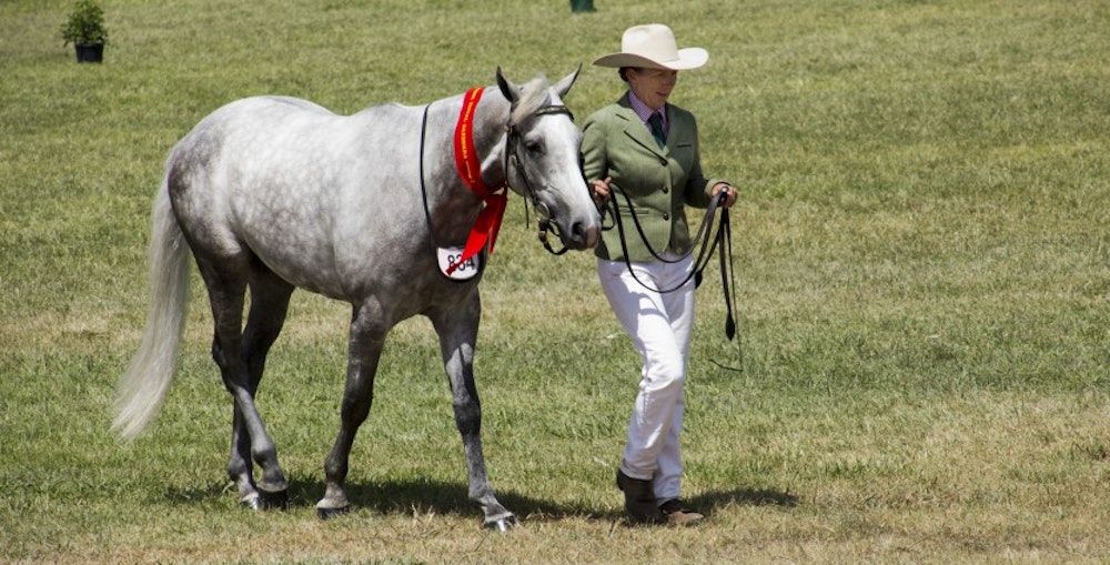 Image for CanberraShow