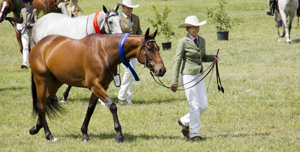 Image for CanberraShow