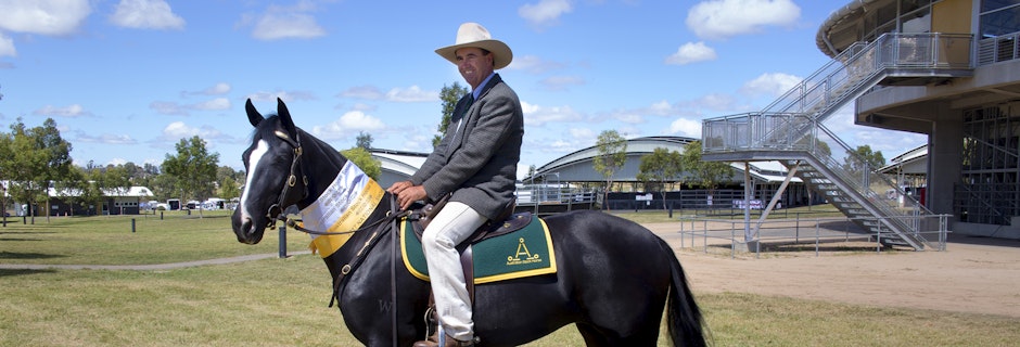 Image for Willinga Park at the Stock Horse Nationals