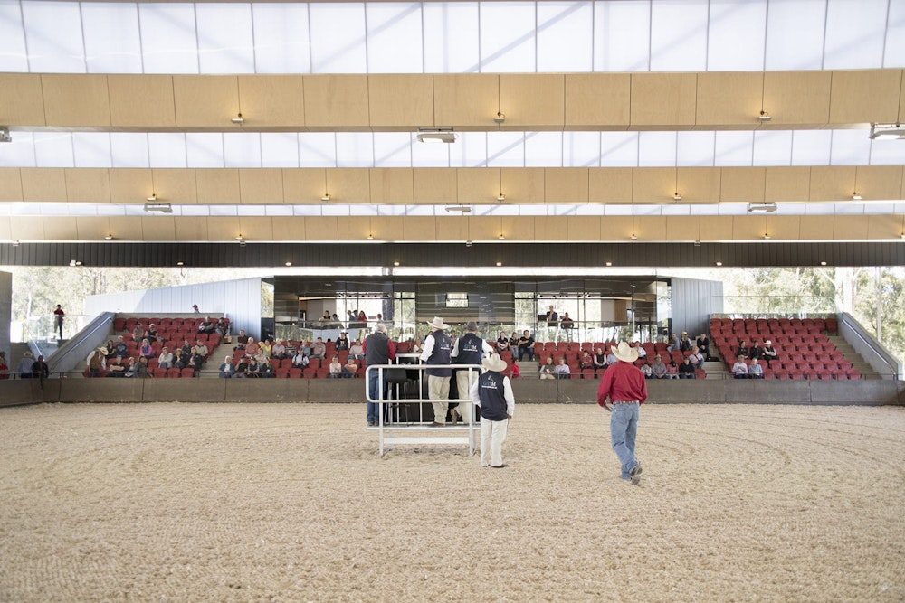 Image for Covered Arena